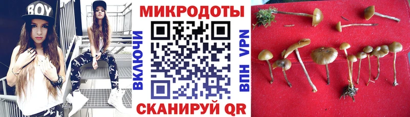 Псилоцибиновые грибы Psilocybine cubensis  Зеленокумск 