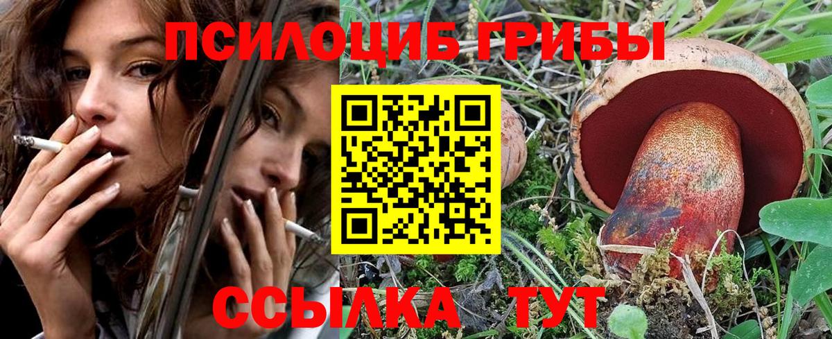 Галлюциногенные грибы Cubensis  где купить наркотик  Зеленокумск  Вход с VPN  Псилоцибиновые грибы мухоморы 