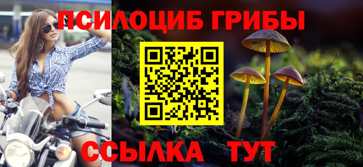 Галлюциногенные грибы ЛСД Зеленокумск